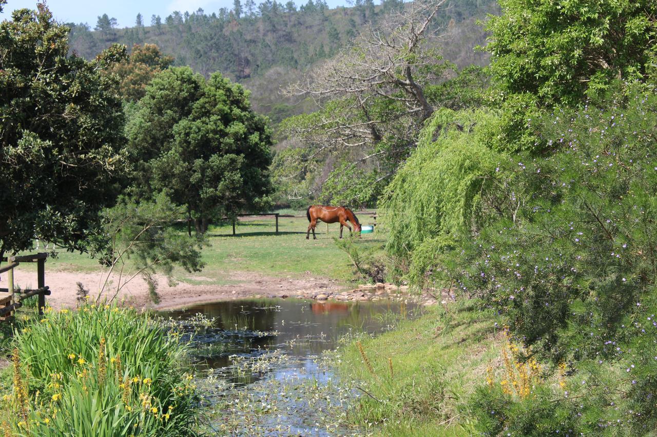 Kingfisher Cottage At Boschrivier Farm Plettenberg Bay Wittedrif Экстерьер фото