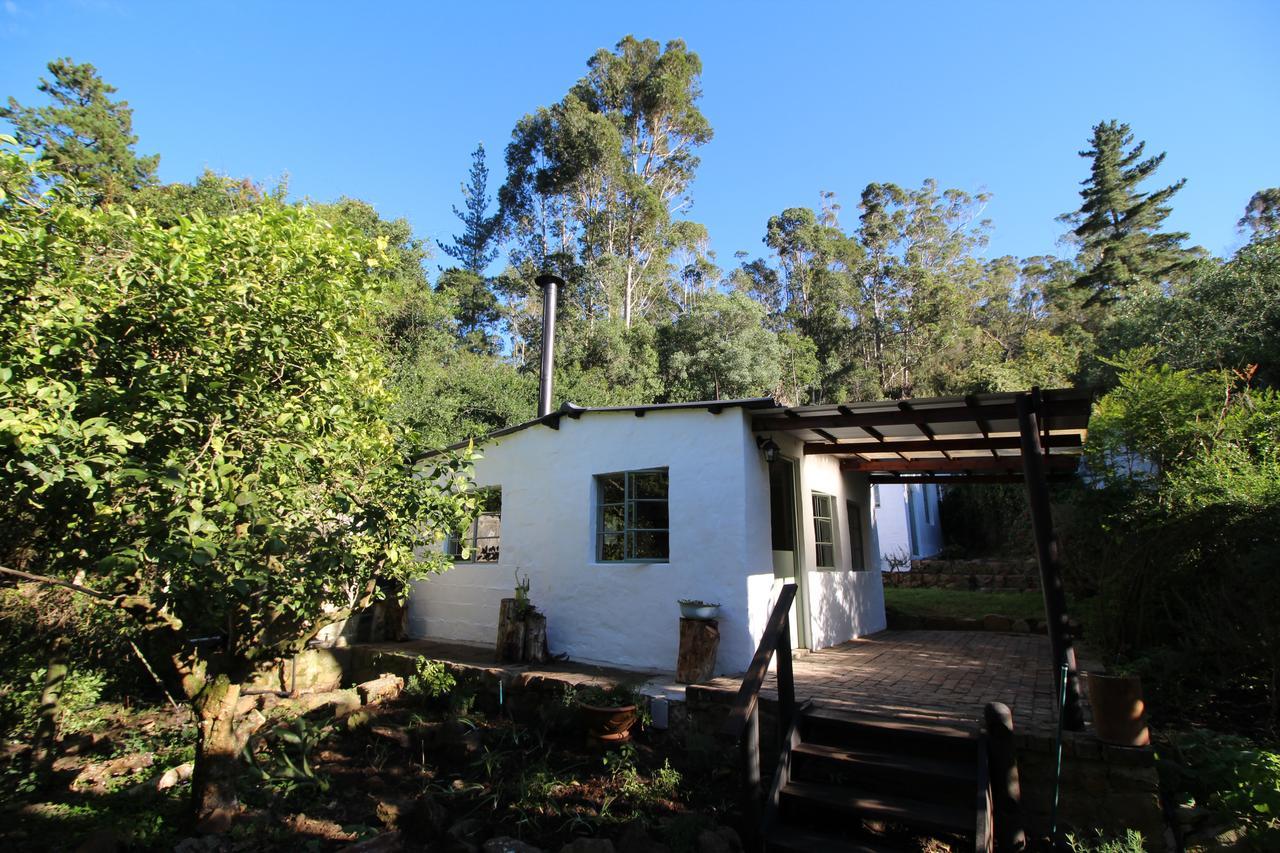 Kingfisher Cottage At Boschrivier Farm Plettenberg Bay Wittedrif Экстерьер фото