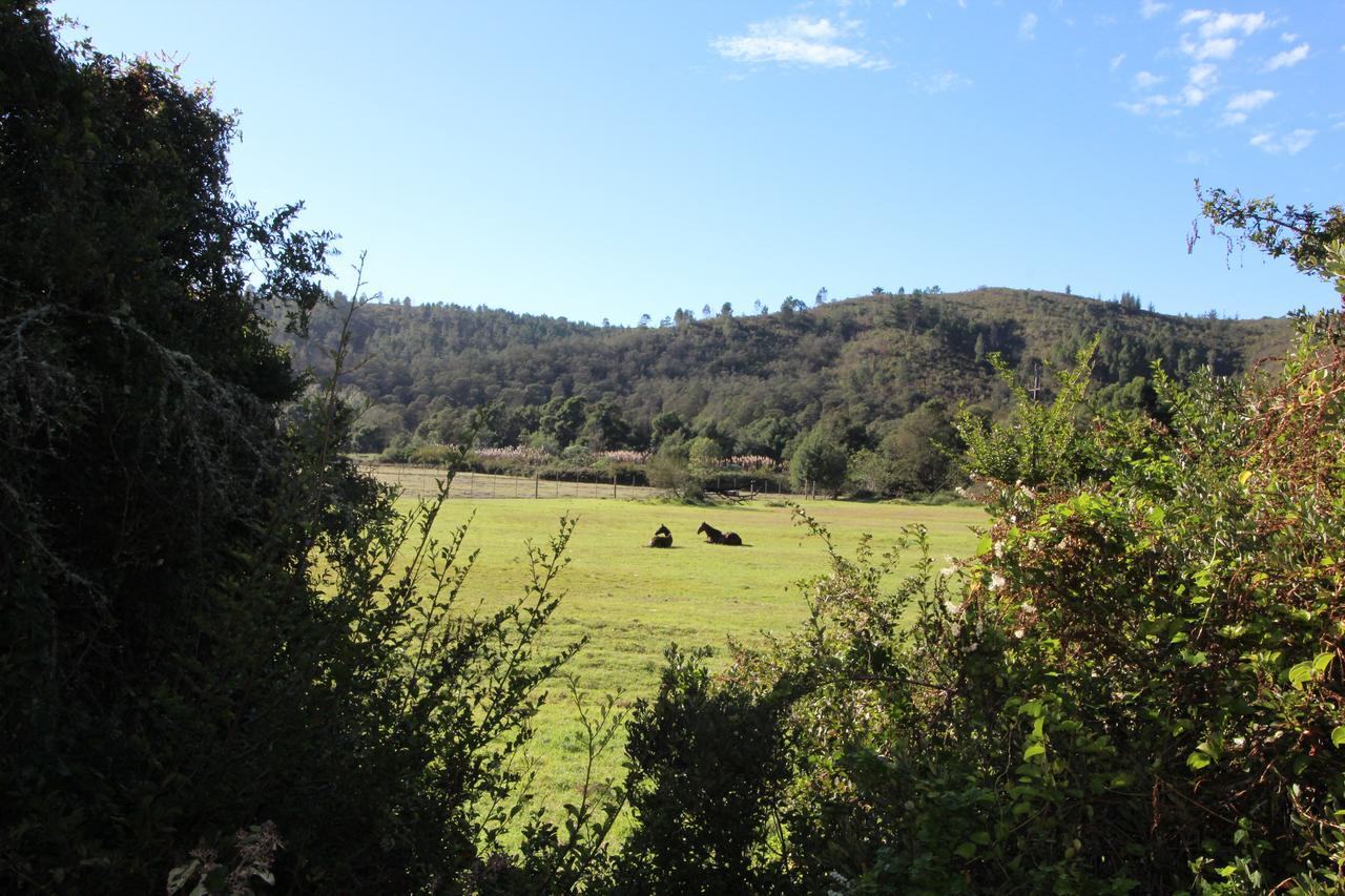 Kingfisher Cottage At Boschrivier Farm Plettenberg Bay Wittedrif Экстерьер фото